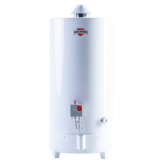 Termotanque multigas Sherman 80 Lts de Pie Blanco Superior